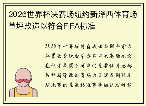 2026世界杯决赛场纽约新泽西体育场草坪改造以符合FIFA标准