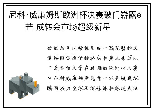 尼科·威廉姆斯欧洲杯决赛破门崭露锋芒 成转会市场超级新星